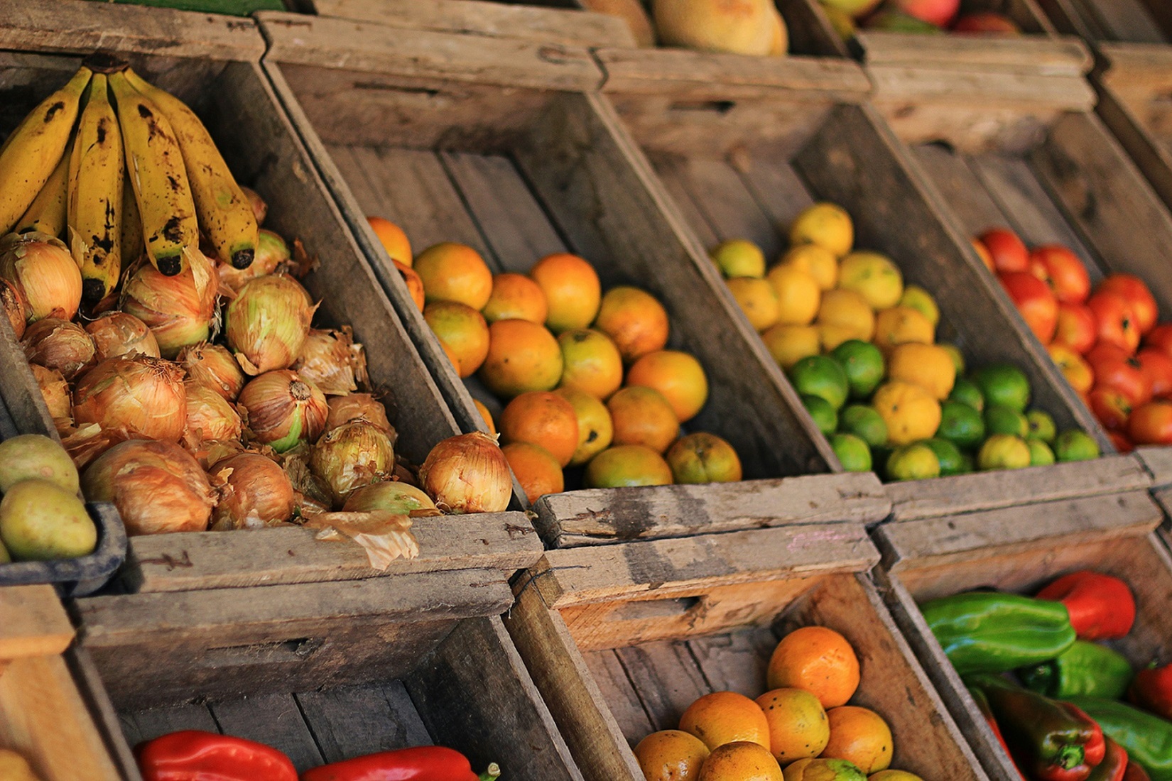 Seasonal Produce Recipes for Summer Dining-image
