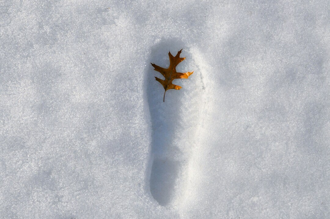 Winter Wellness: Staying Active in Boulder, Colorado in the New Year-image