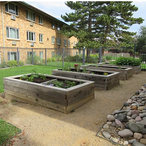 Charming community garden with raised wooden planters, surrounded by lush green grass and a brick apartment backdrop, perfect for urban gardening enthusiasts.