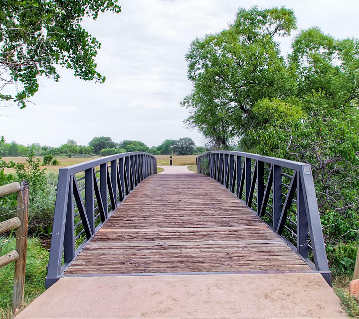 Charming wooden bridge surrounded by lush greenery, offering a serene entrance to a natural escape.