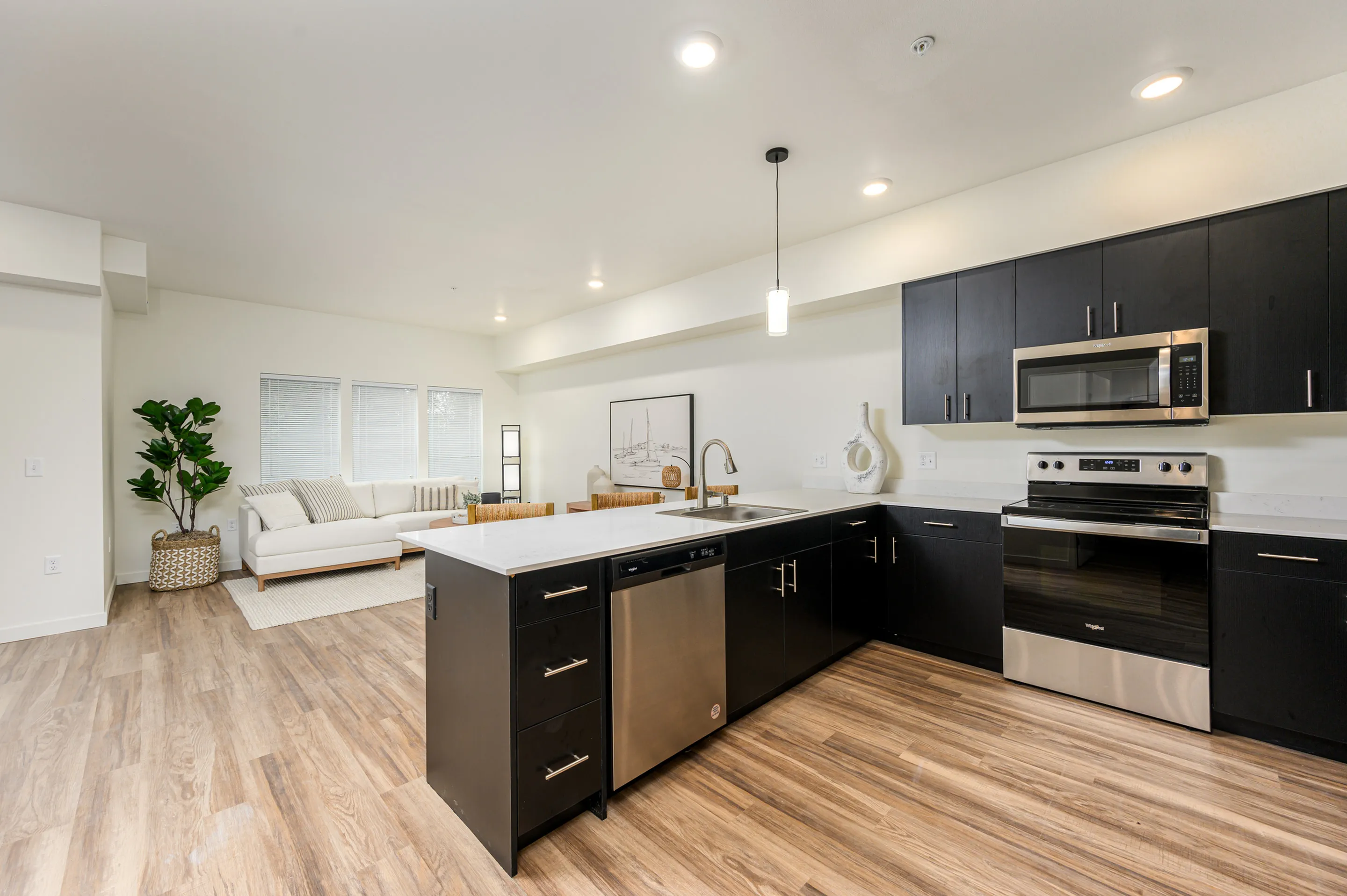 Brand new apartments with new appliances and finishes