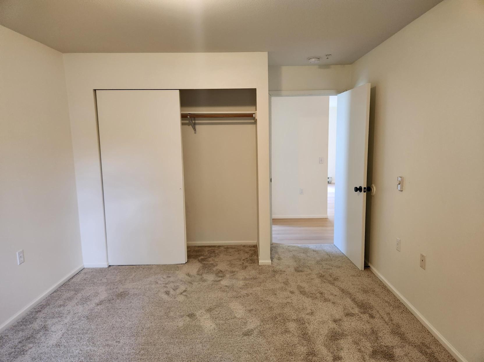 1 Bedroom, 1 Bath 1 Bed Apartment Edgemont