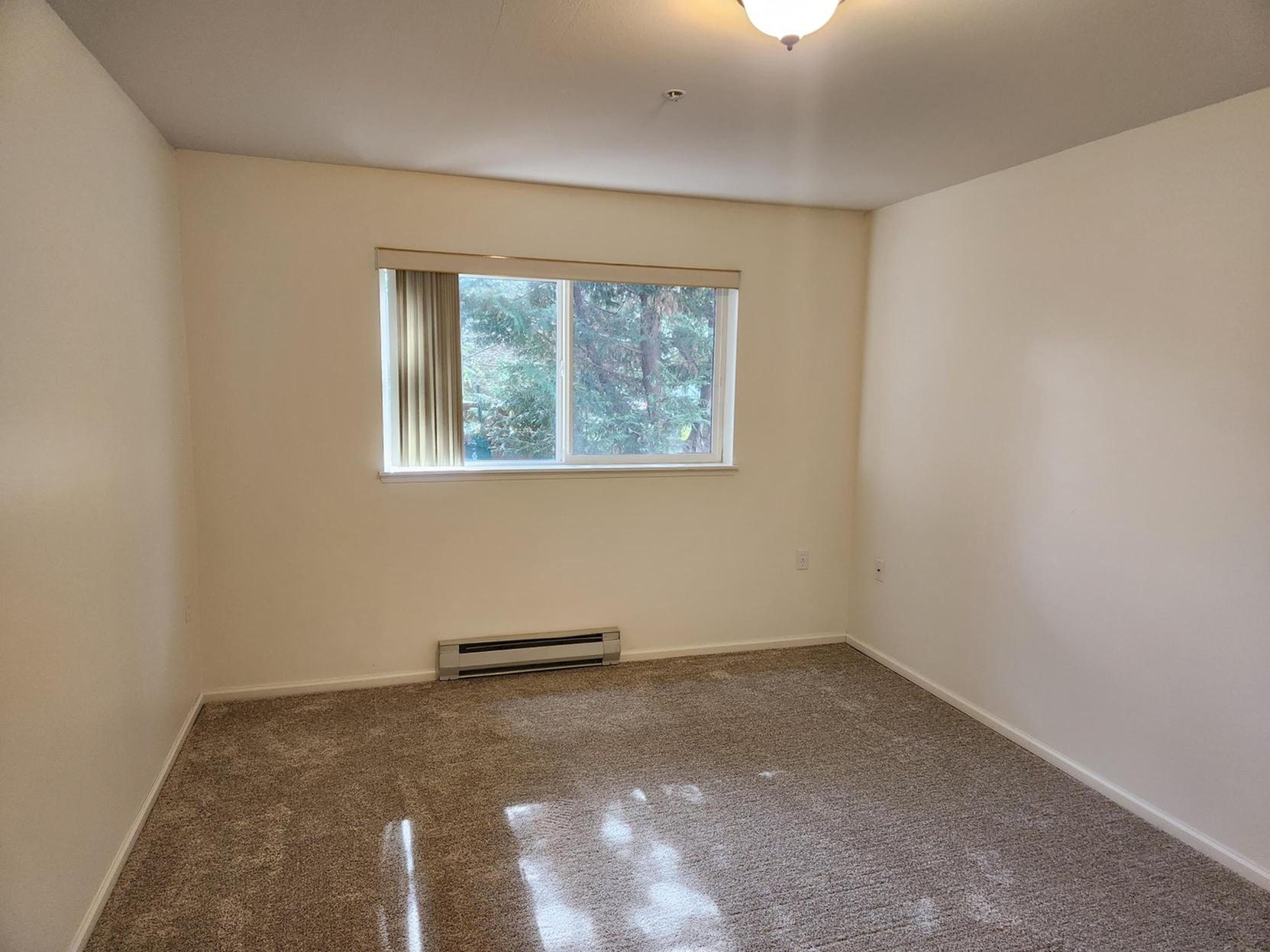 1 Bedroom, 1 Bath 1 Bed Apartment Edgemont