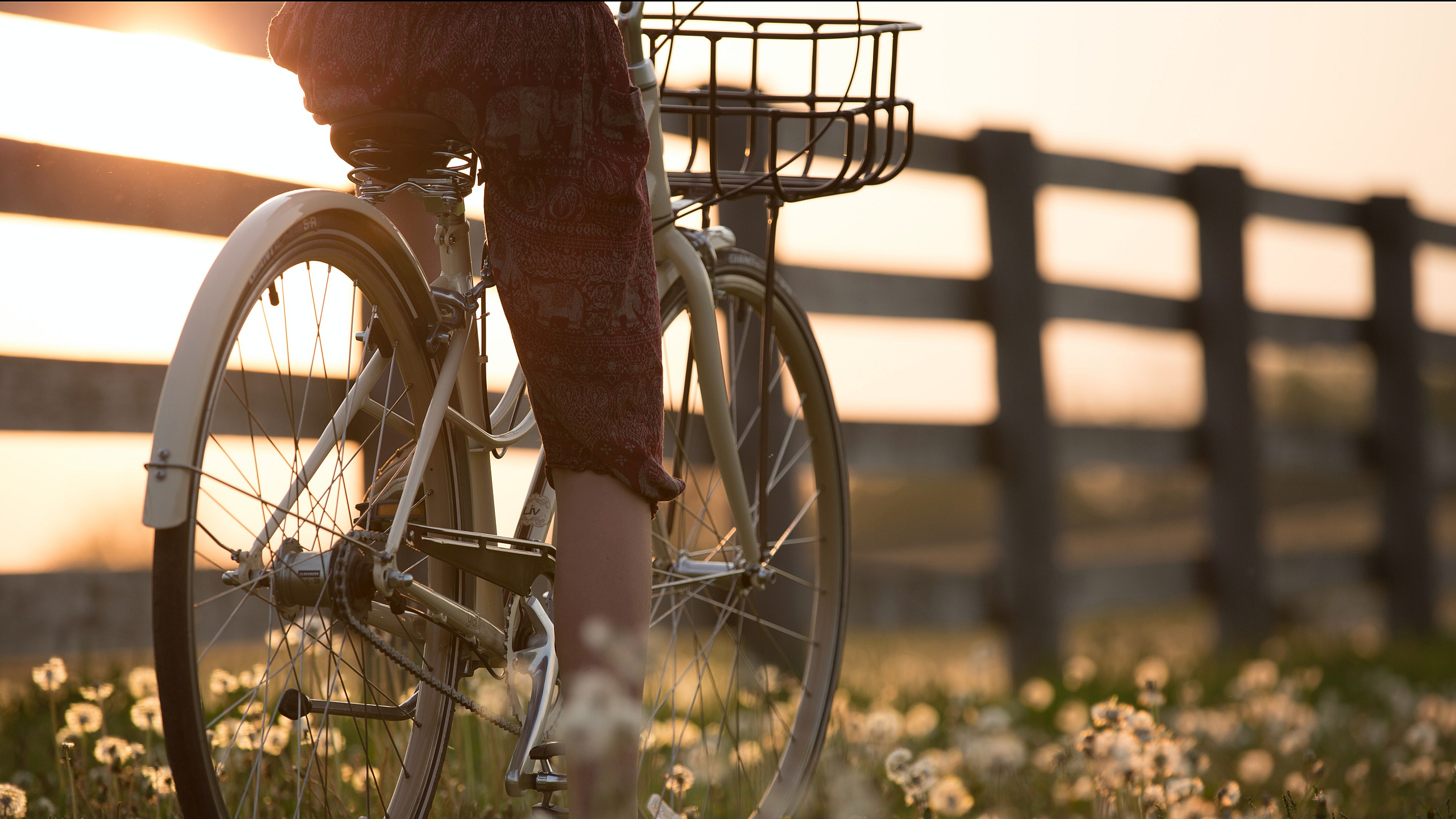 Serene countryside scene with a bicycle and vibrant wildflowers illuminated by a golden sunset.