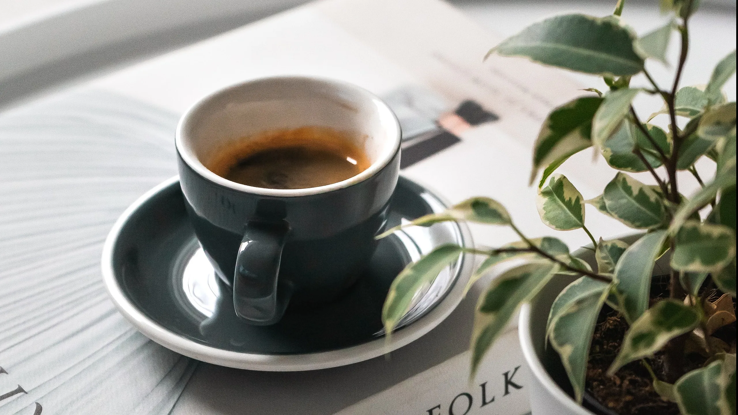 Elegant coffee cup on a stylish book next to a vibrant plant, creating a serene and cozy atmosphere.
