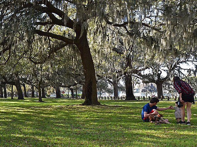 Daffin Park
