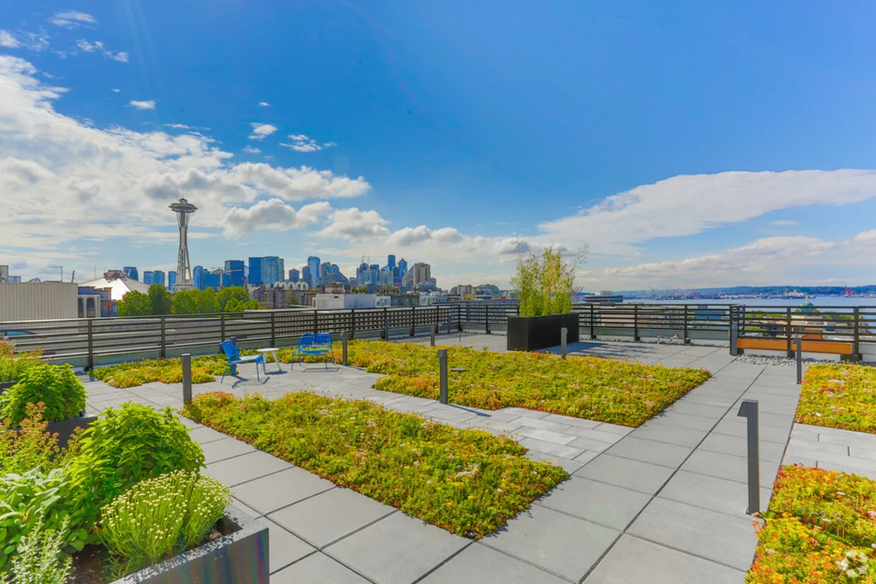 Zella Rooftop Deck View