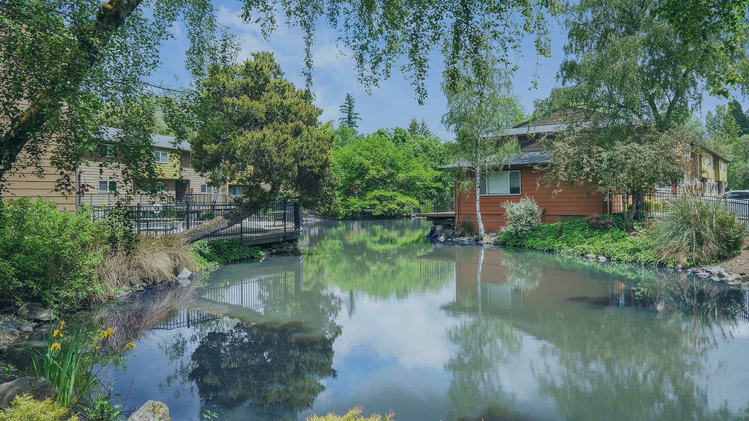 The Habitat pond