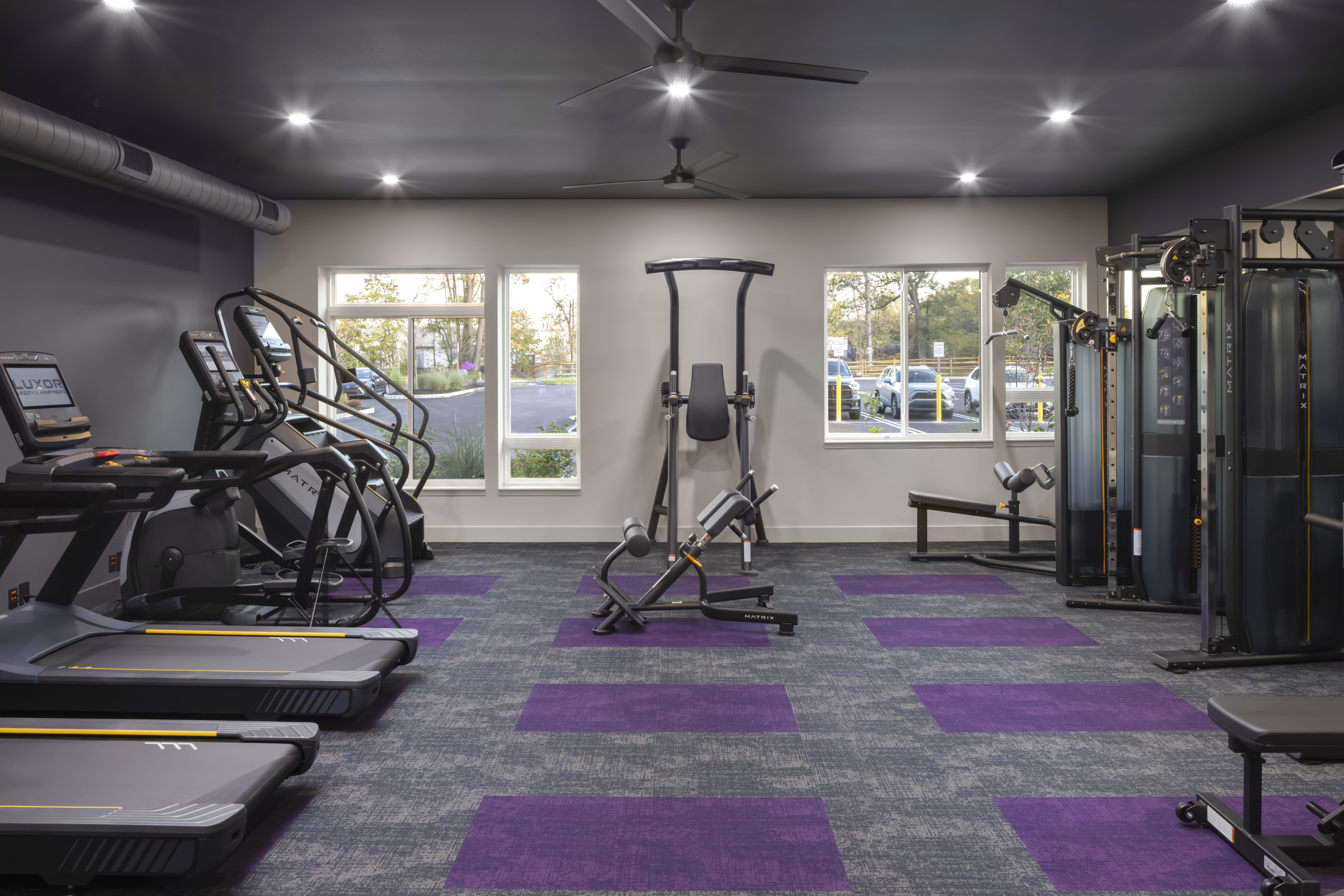 Modern gym with treadmills, stair climbers, weight machines, and purple-accented flooring.