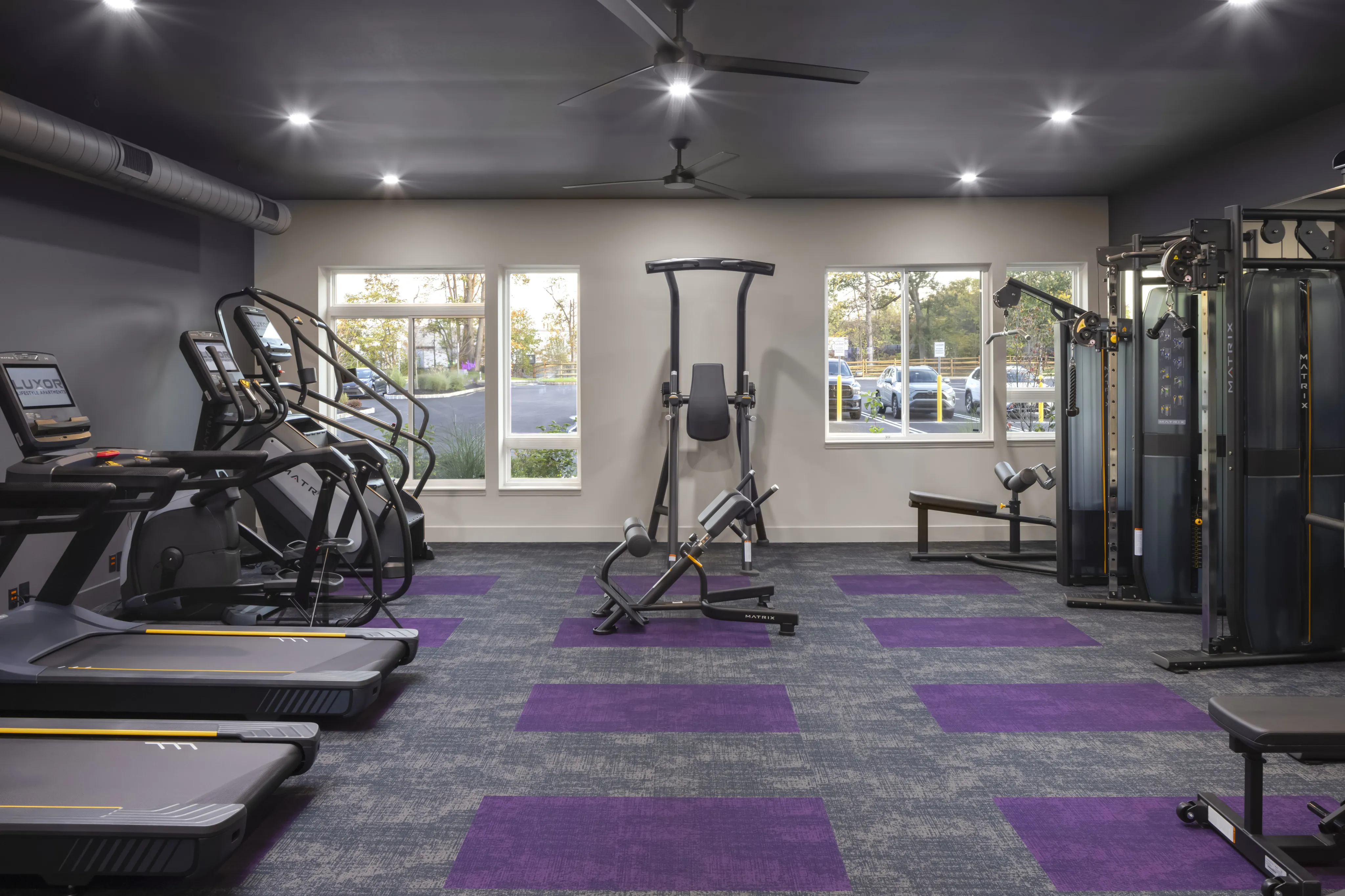 Modern fitness center with state-of-the-art exercise equipment and large windows for natural light.