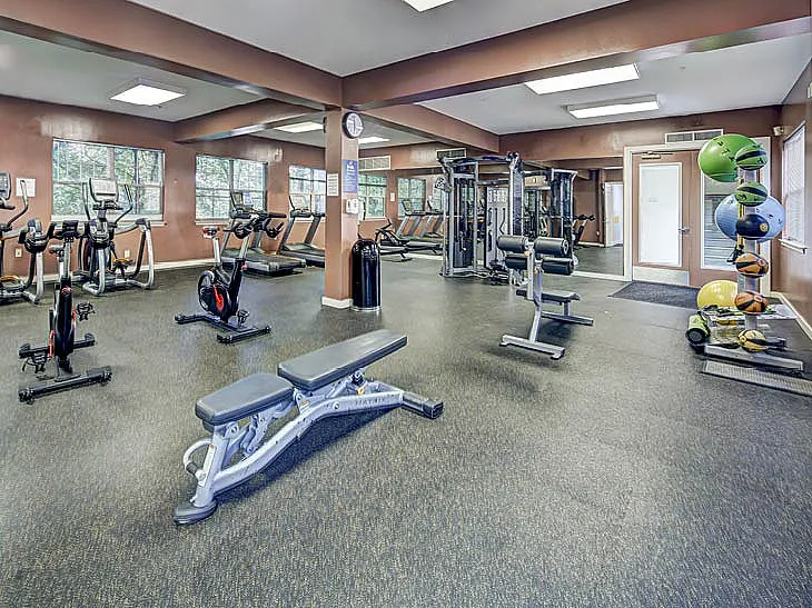 Spacious gym with modern equipment, including exercise bikes and weight machines, in a bright setting.