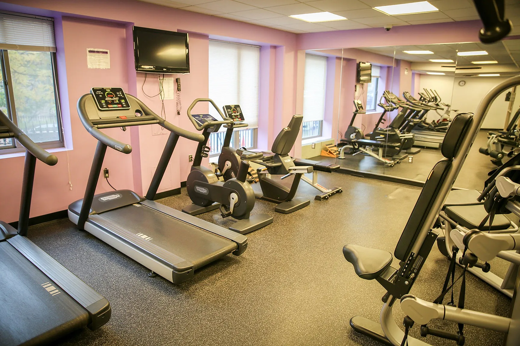 Inviting fitness center with modern cardio equipment and vibrant pink walls for an energizing workout atmosphere.