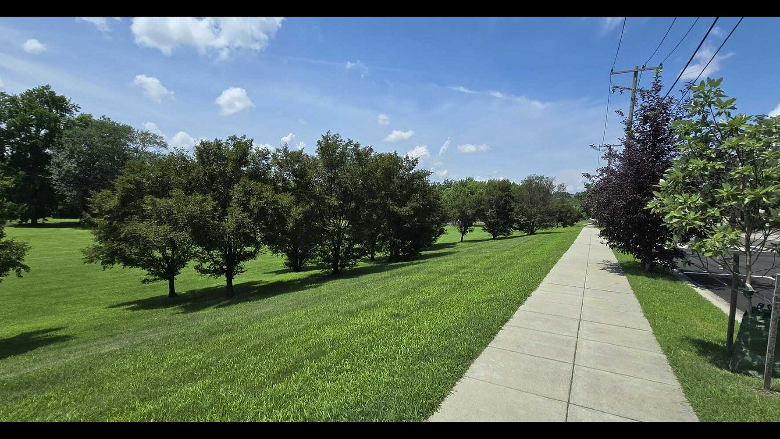 Park