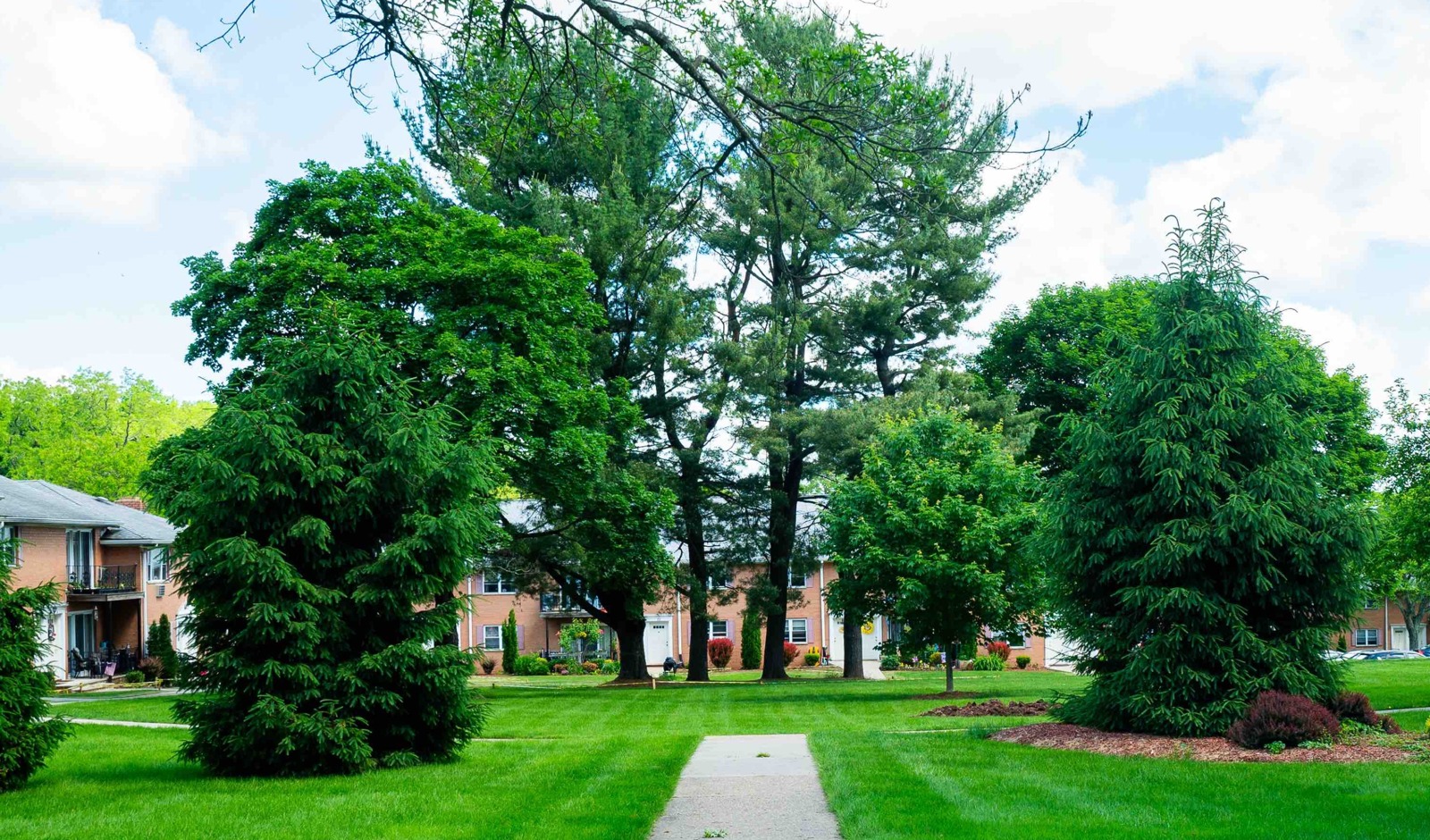 Randolph Village