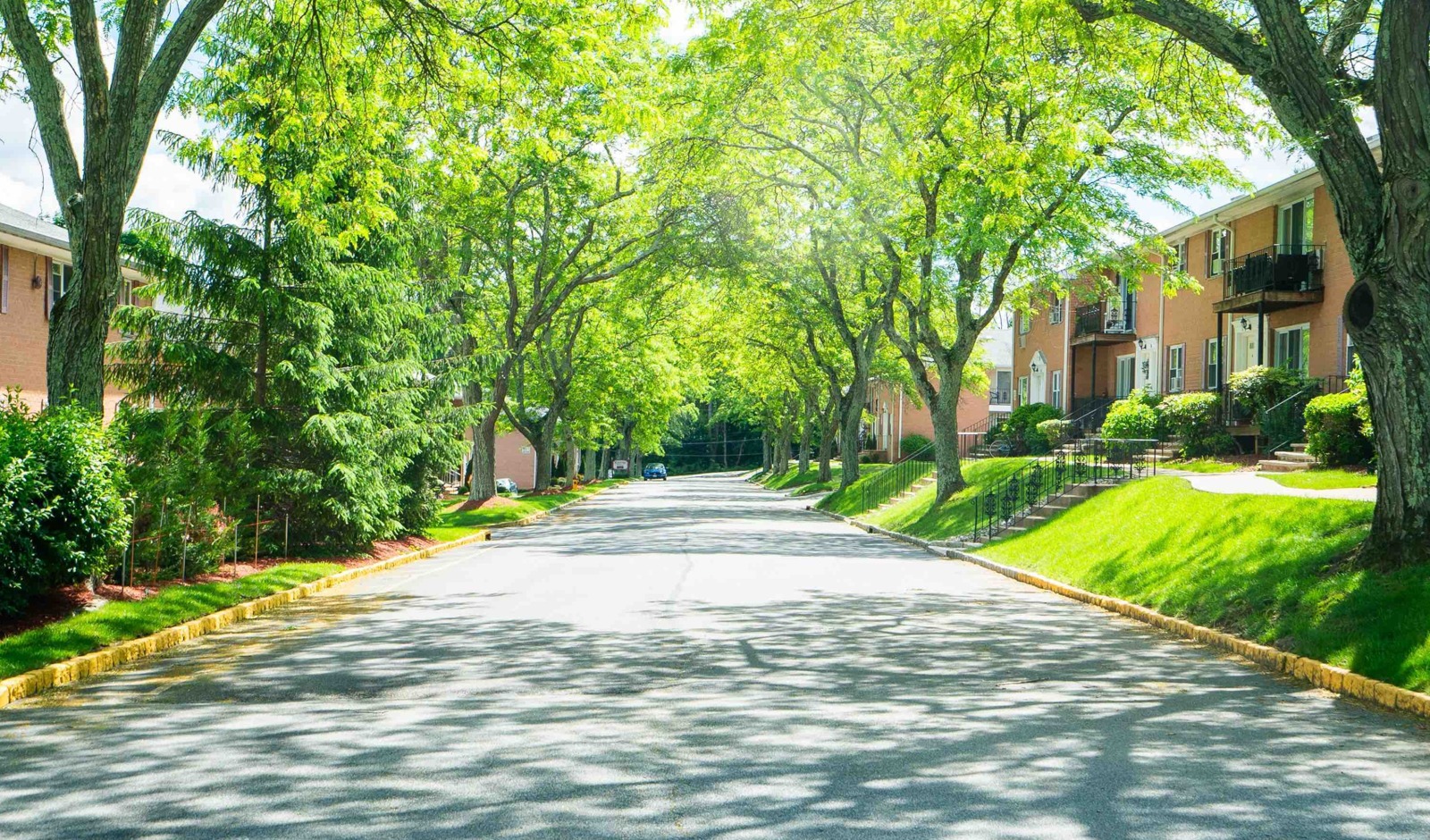 Randolph Village