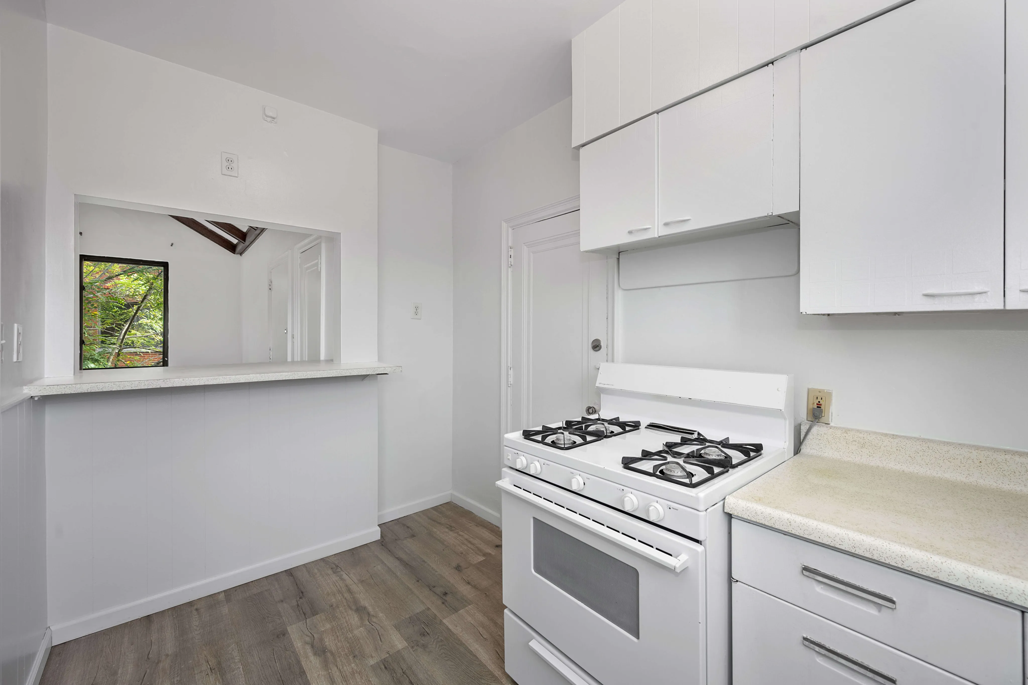 Kitchen Picture 4