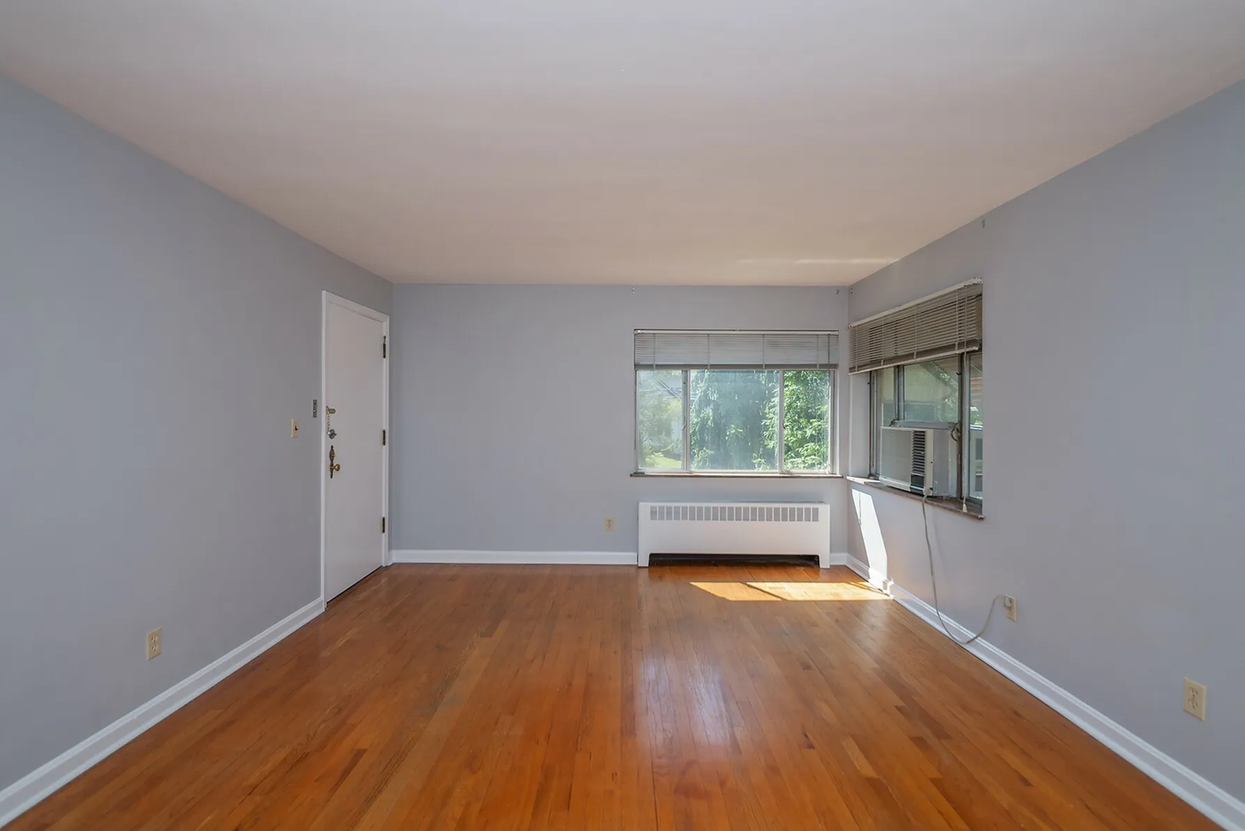 Livingroom Picture 1