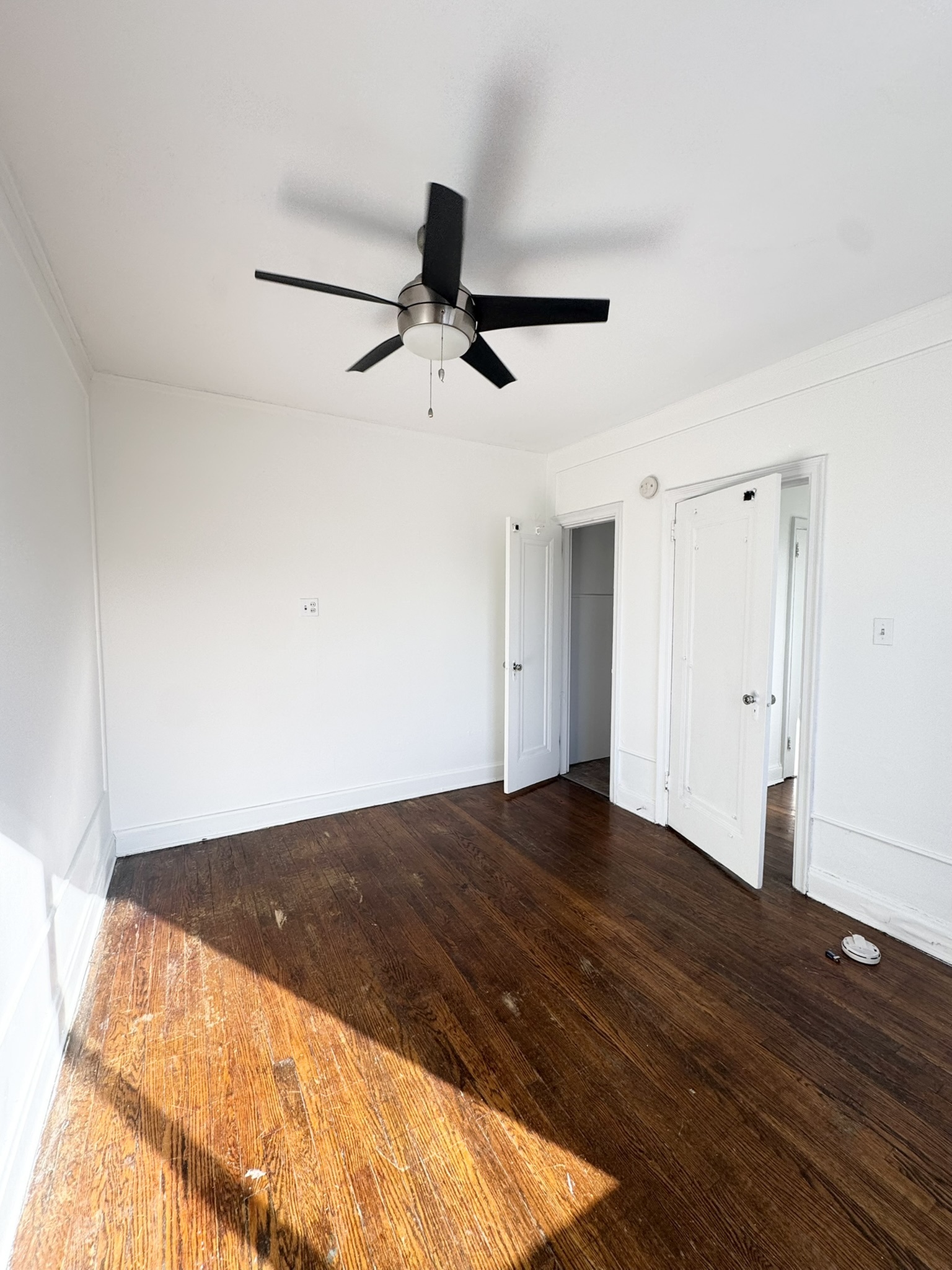 Bright, spacious room with gleaming hardwood floors and a modern ceiling fan, offering a cozy and welcoming atmosphere.