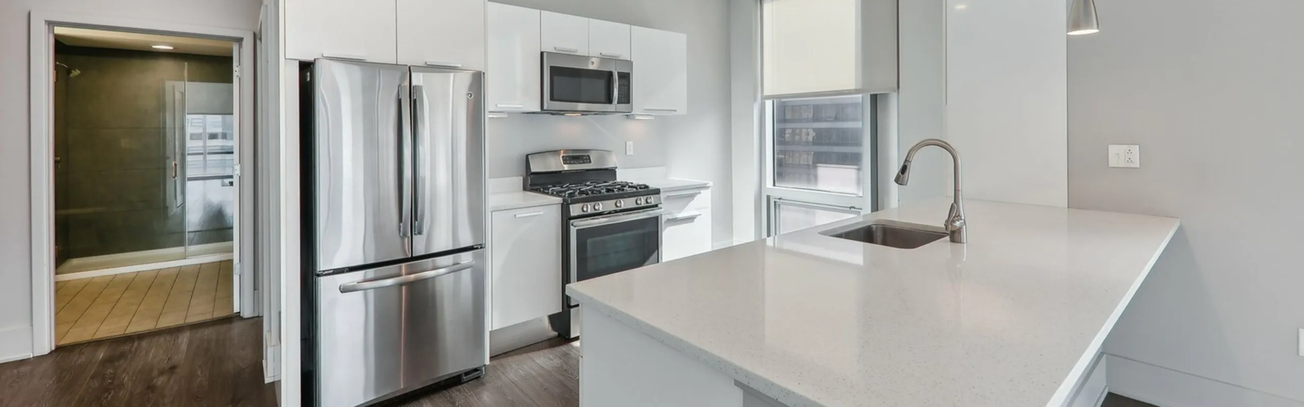 Gas Chef Kitchens Downtown St. Louis Apartments