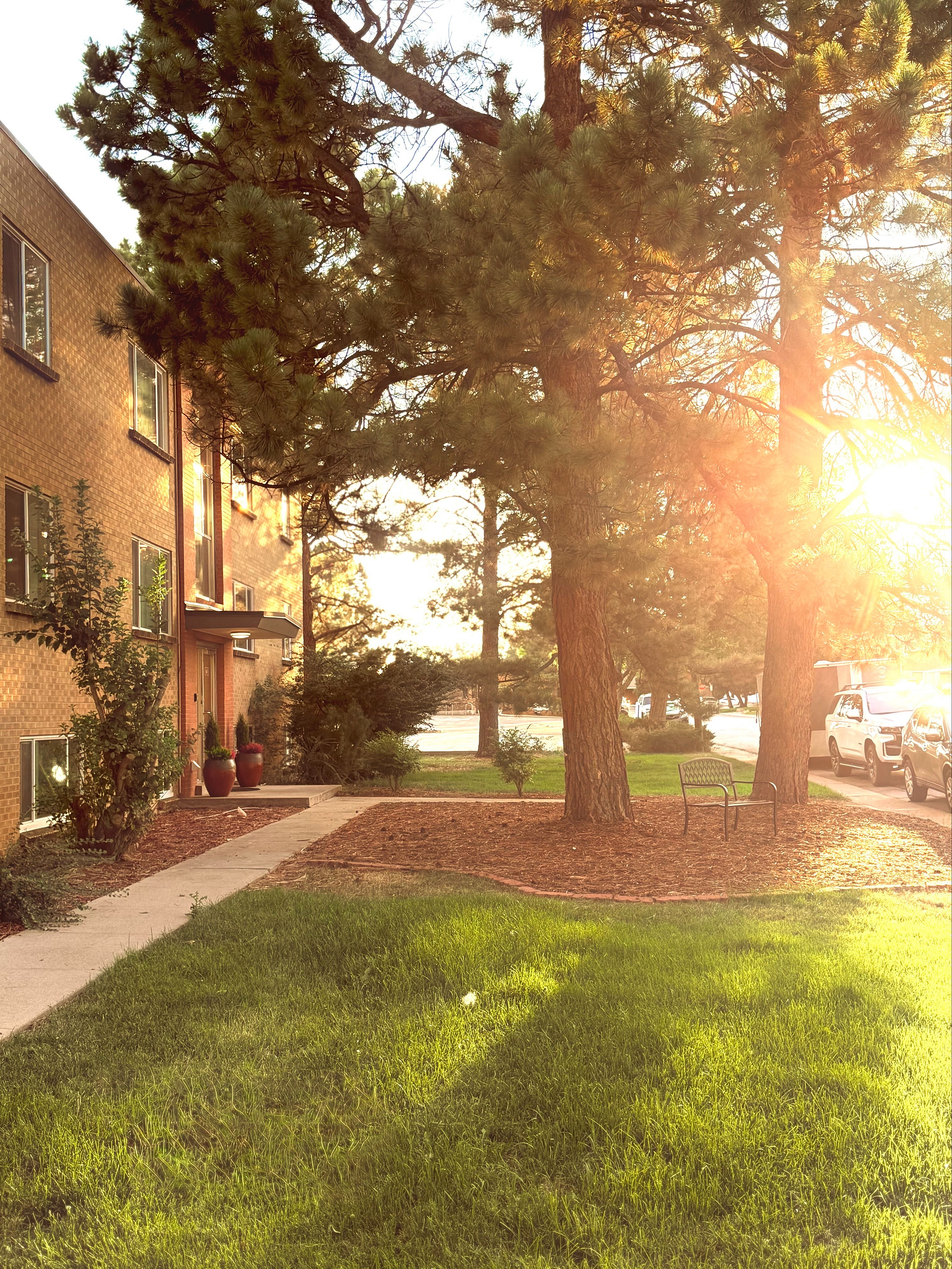 Charming apartment exterior with lush green lawn, mature trees, and warm sunlight enhancing a welcoming pathway.