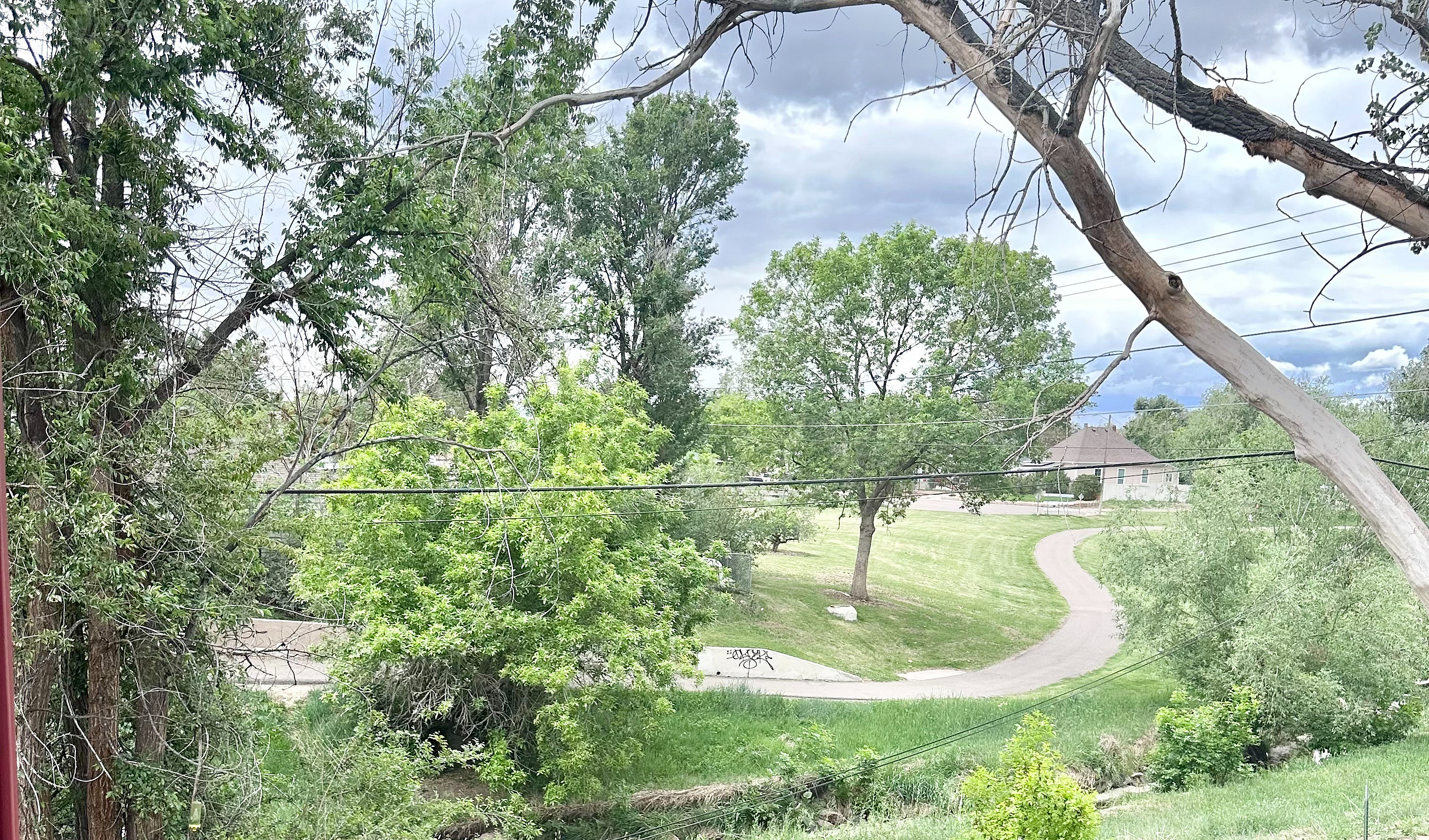 Scenic view of lush green parkland with winding walkway, framed by tall trees under a vibrant, cloudy sky.