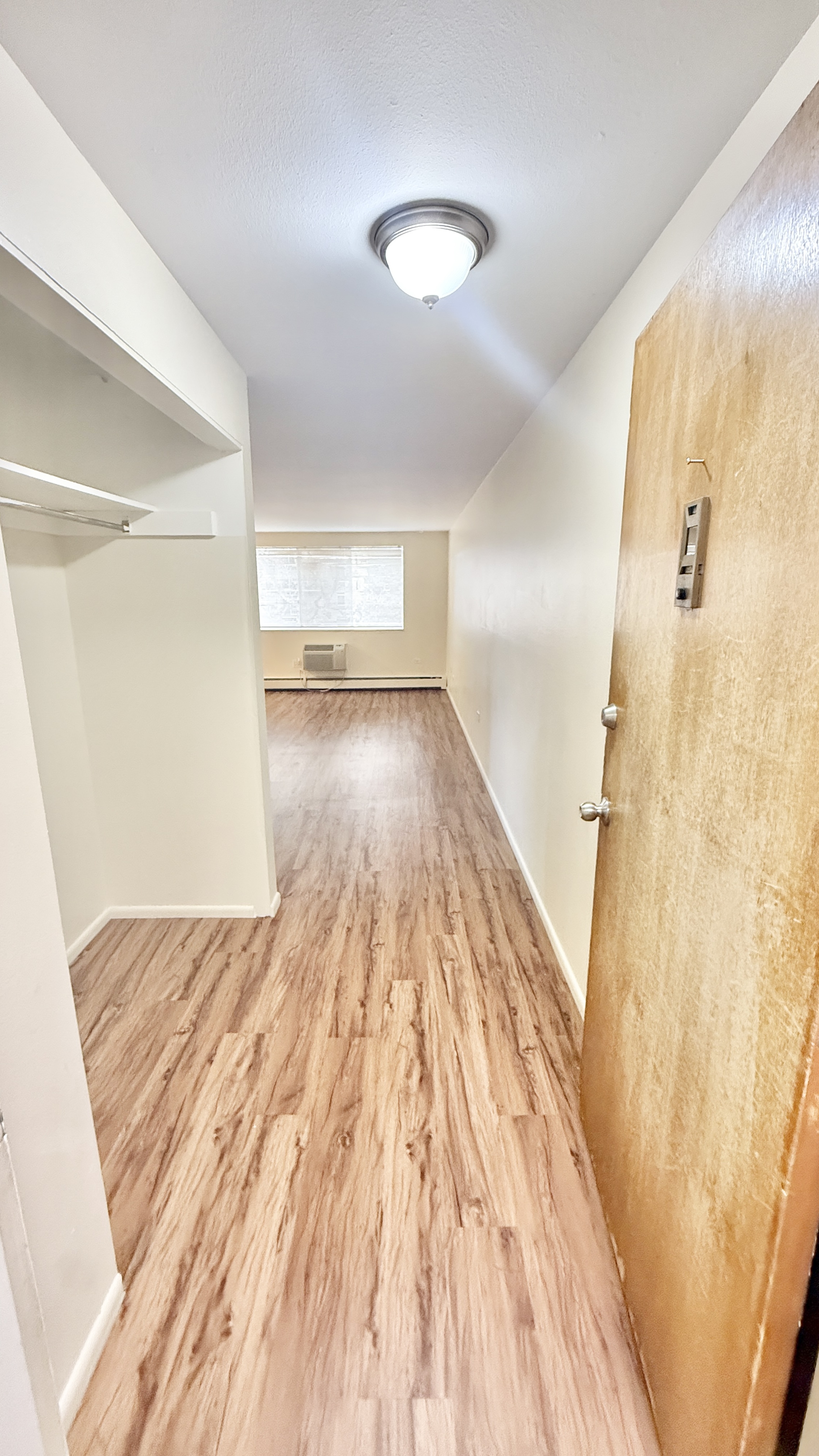 Welcoming apartment entryway with stylish wood flooring and bright overhead lighting leading to a cozy living area with large window.