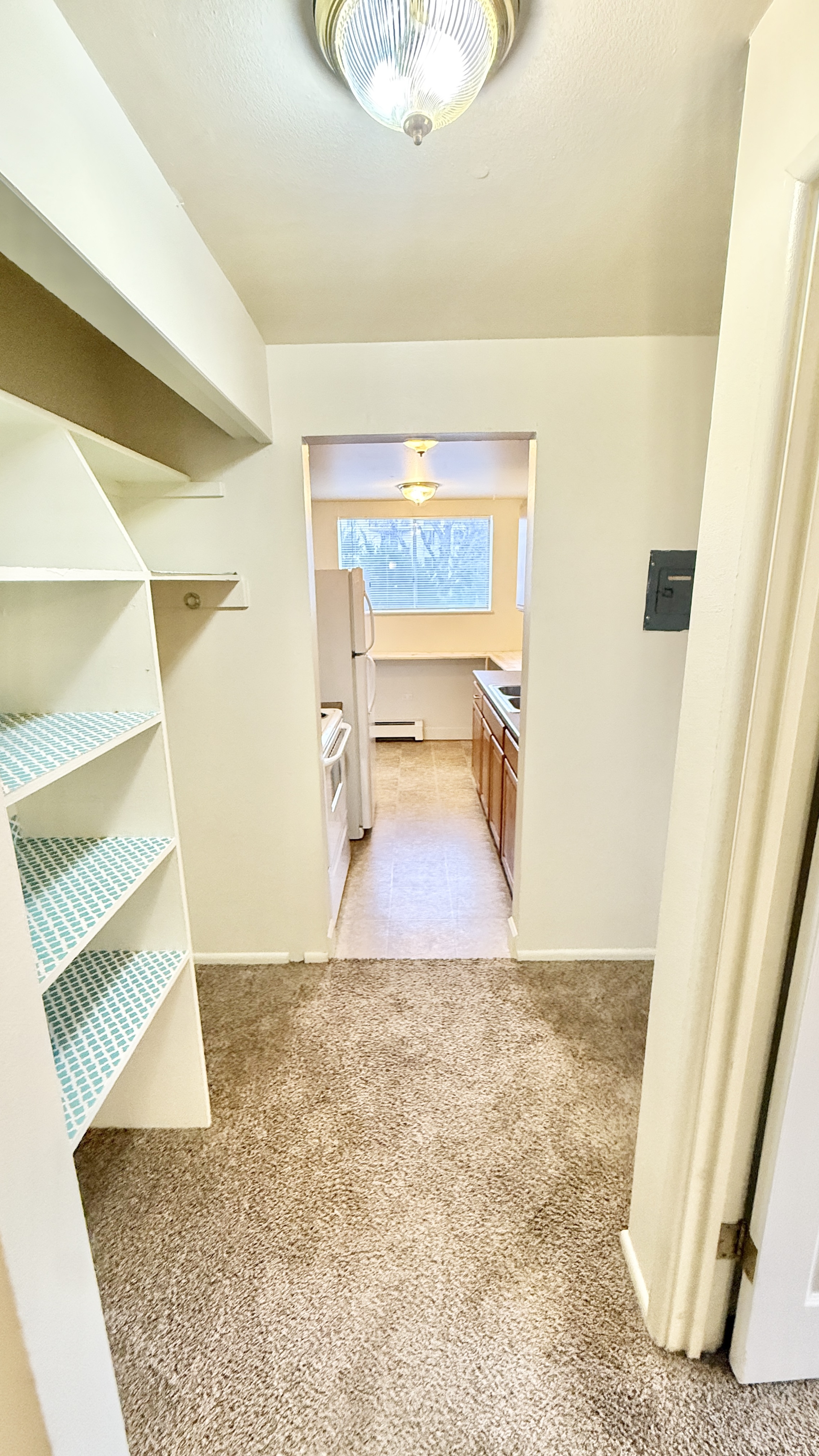 Inviting hallway leading to a bright kitchen with modern appliances and ample natural light, featuring stylish shelving and cozy carpeting.