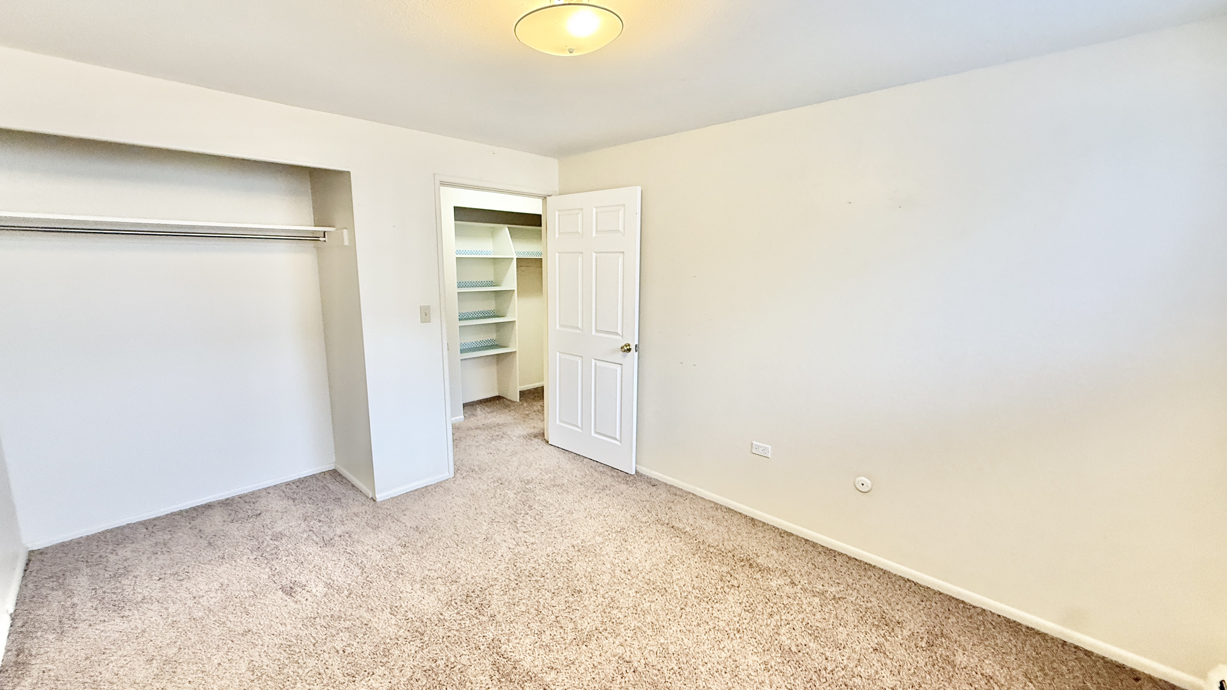 Bright room with plush carpet, spacious closet, and built-in shelving, perfect for creating a cozy bedroom retreat.