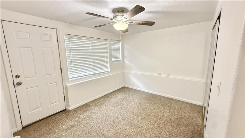 Bright and cozy room with carpet flooring, ceiling fan, and large windows for natural light.