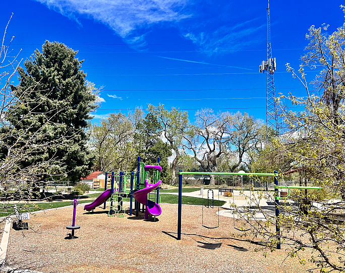 Colorful playground with slides and swings surrounded by lush trees under a clear blue sky.