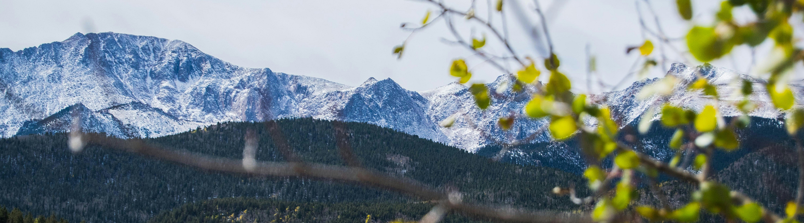 Captivating view of snow-capped mountains peeking through vibrant green foliage, offering a serene and picturesque landscape.