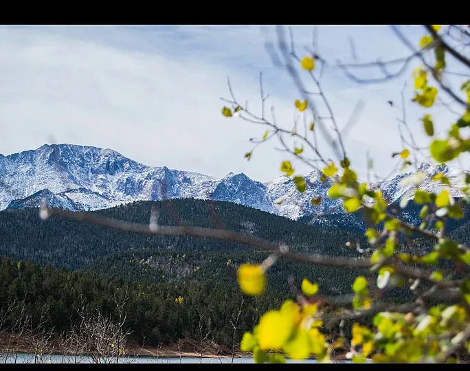 Scenic view of snow-capped mountains framed by vibrant green foliage, offering a peaceful and picturesque landscape.