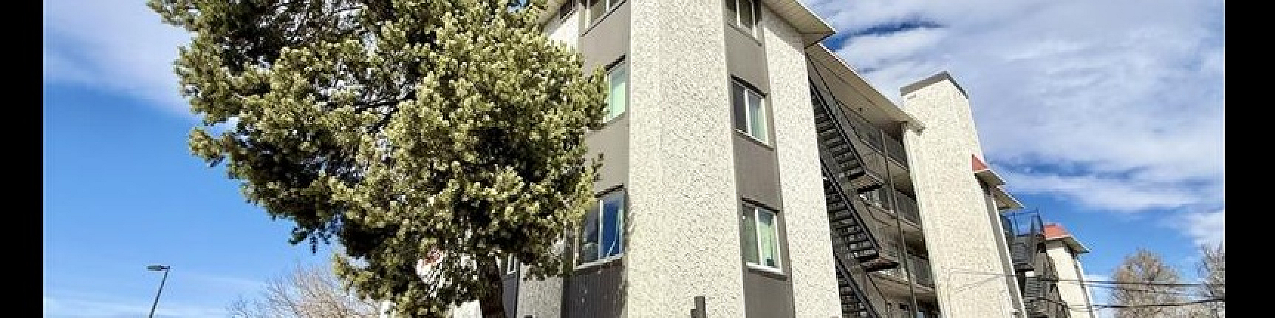 Contemporary apartment building with a rugged exterior, featuring lush trees and clear blue skies, reflecting a charming suburban ambiance.