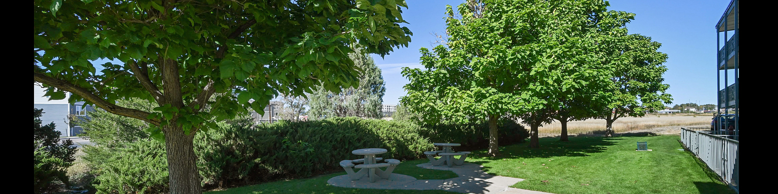 Inviting outdoor space with lush green lawn, mature trees, and a cozy picnic area for relaxation.