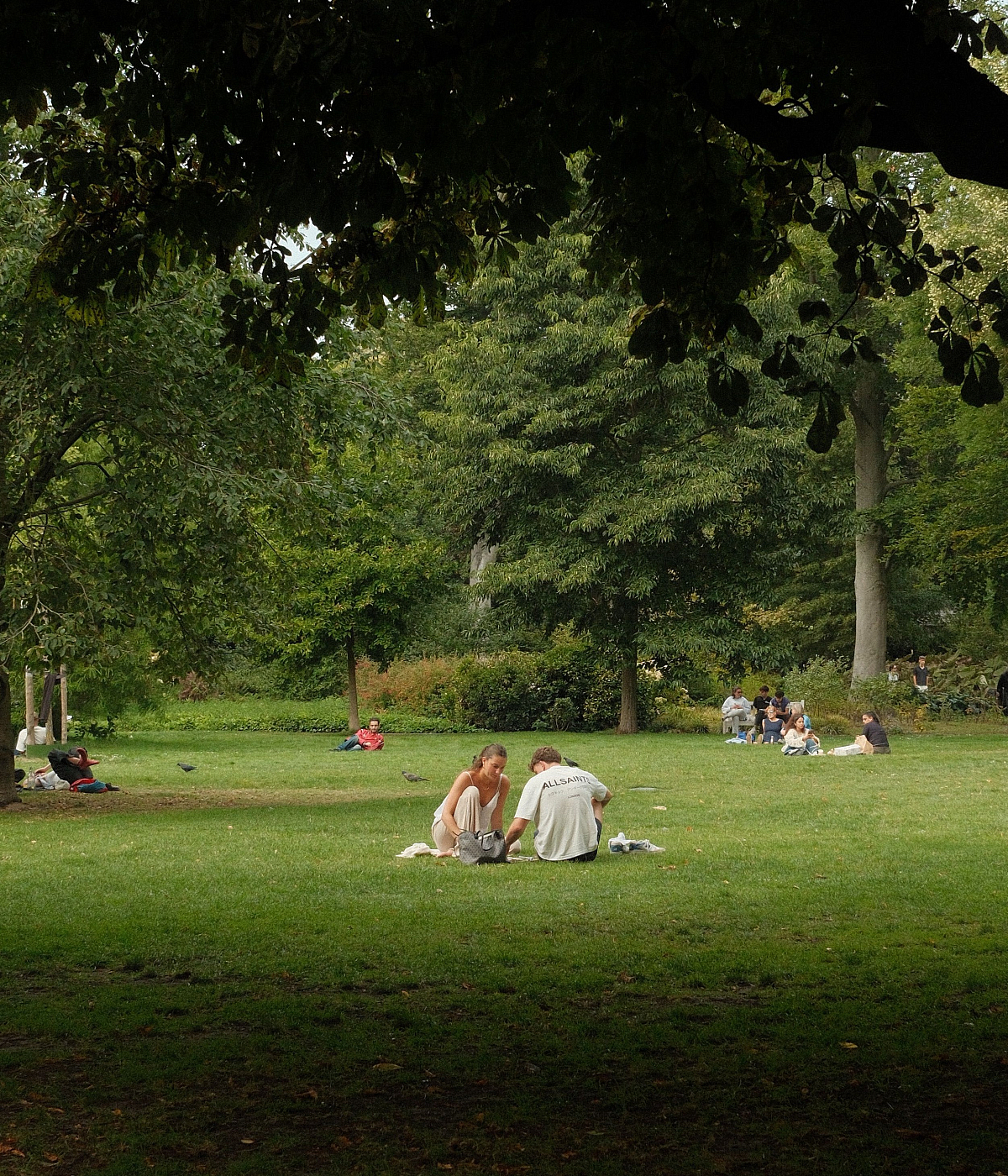 Serene park scene with lush greenery and people relaxing on the grass, enjoying a tranquil afternoon in nature.