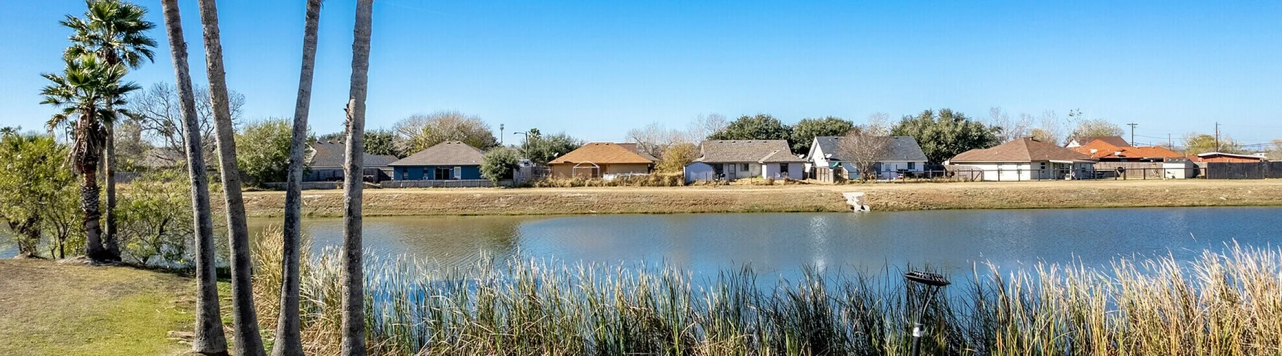 Tranquil lakeside view with lush palm trees, vibrant blue sky, and charming homes in the distance.