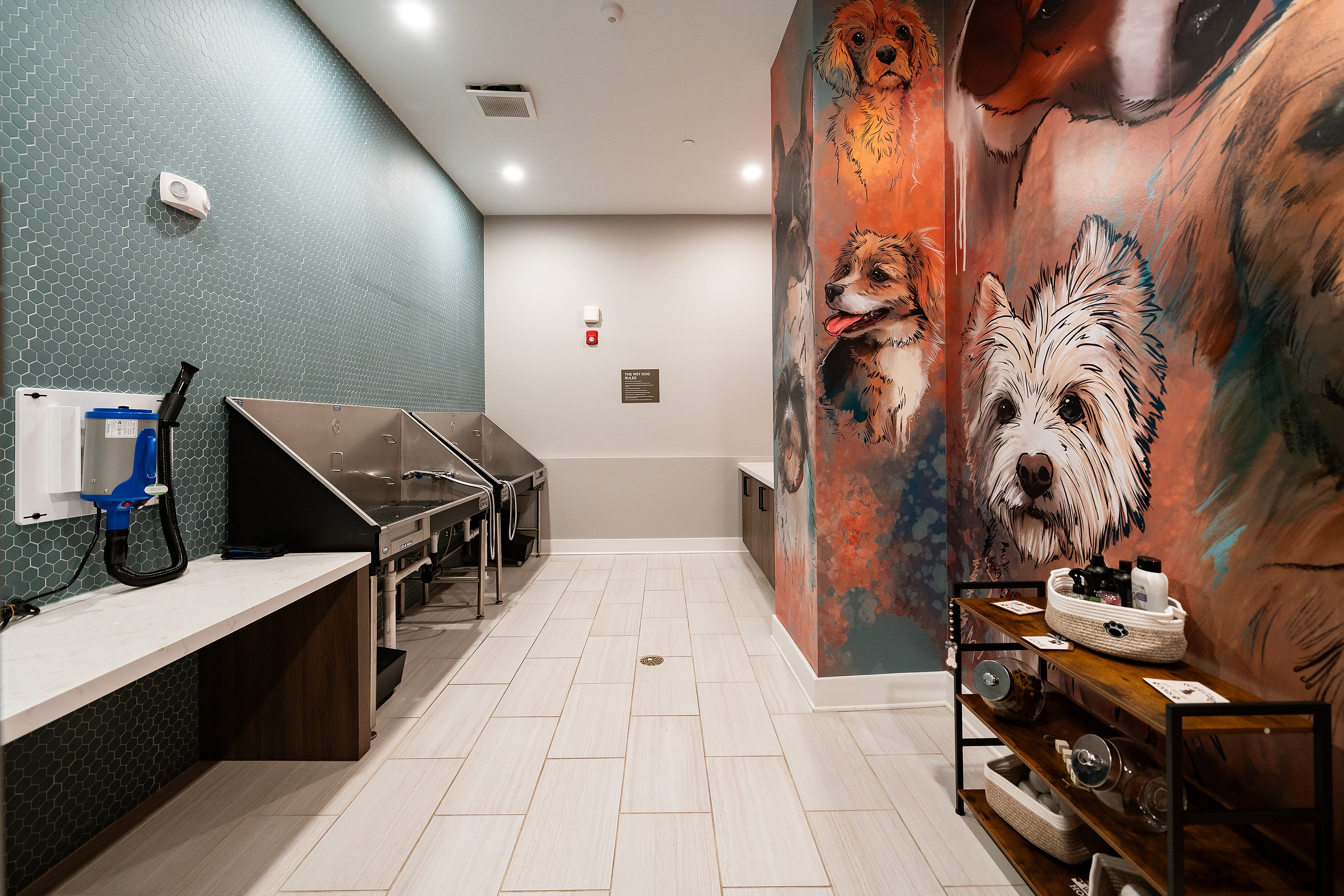 Modern pet washing station with sleek sinks and a vibrant mural of dogs, offering a stylish and convenient amenity for pet owners.
