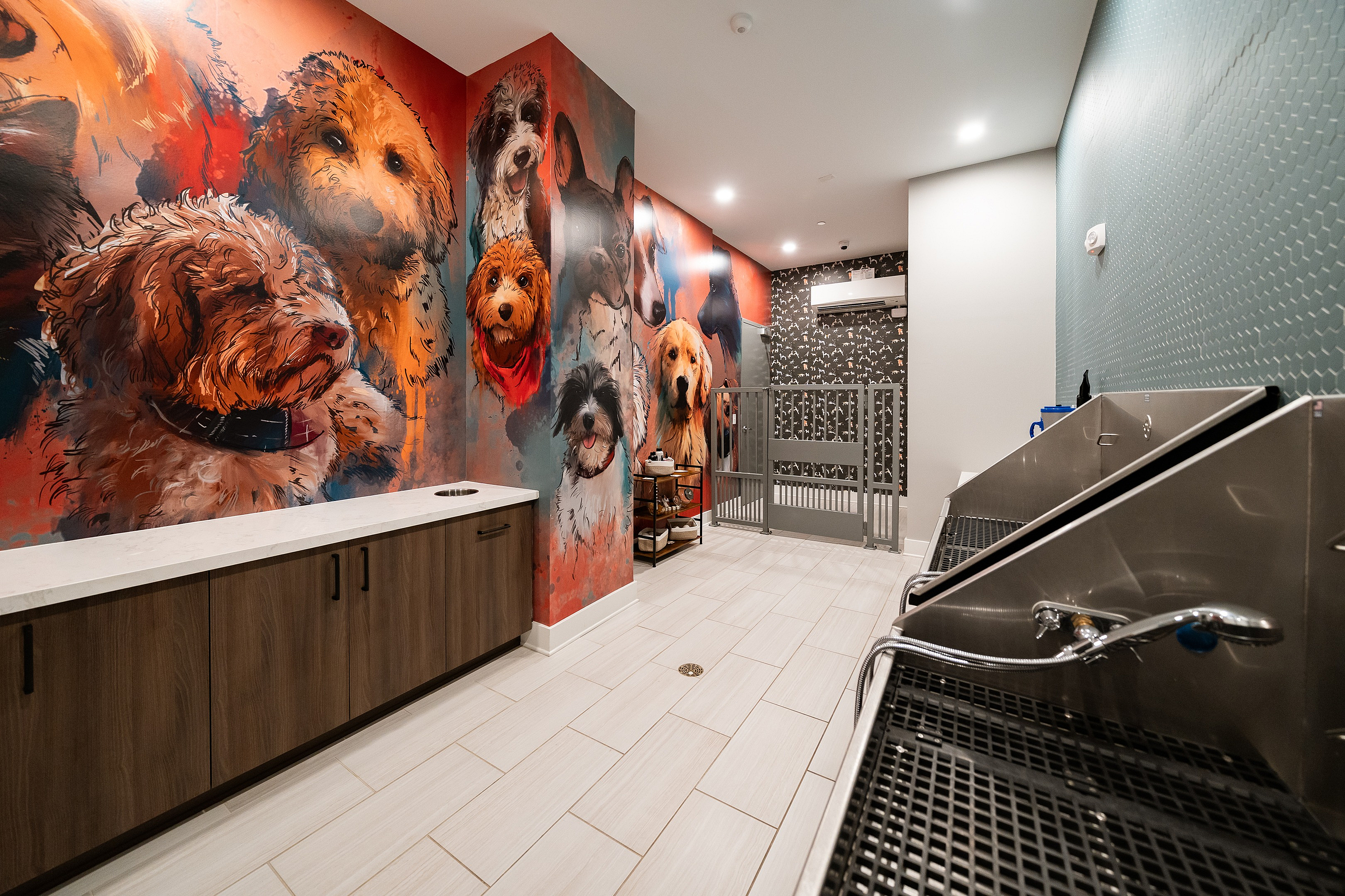 Vibrant pet washing station with playful dog murals, featuring modern fixtures and ample space.