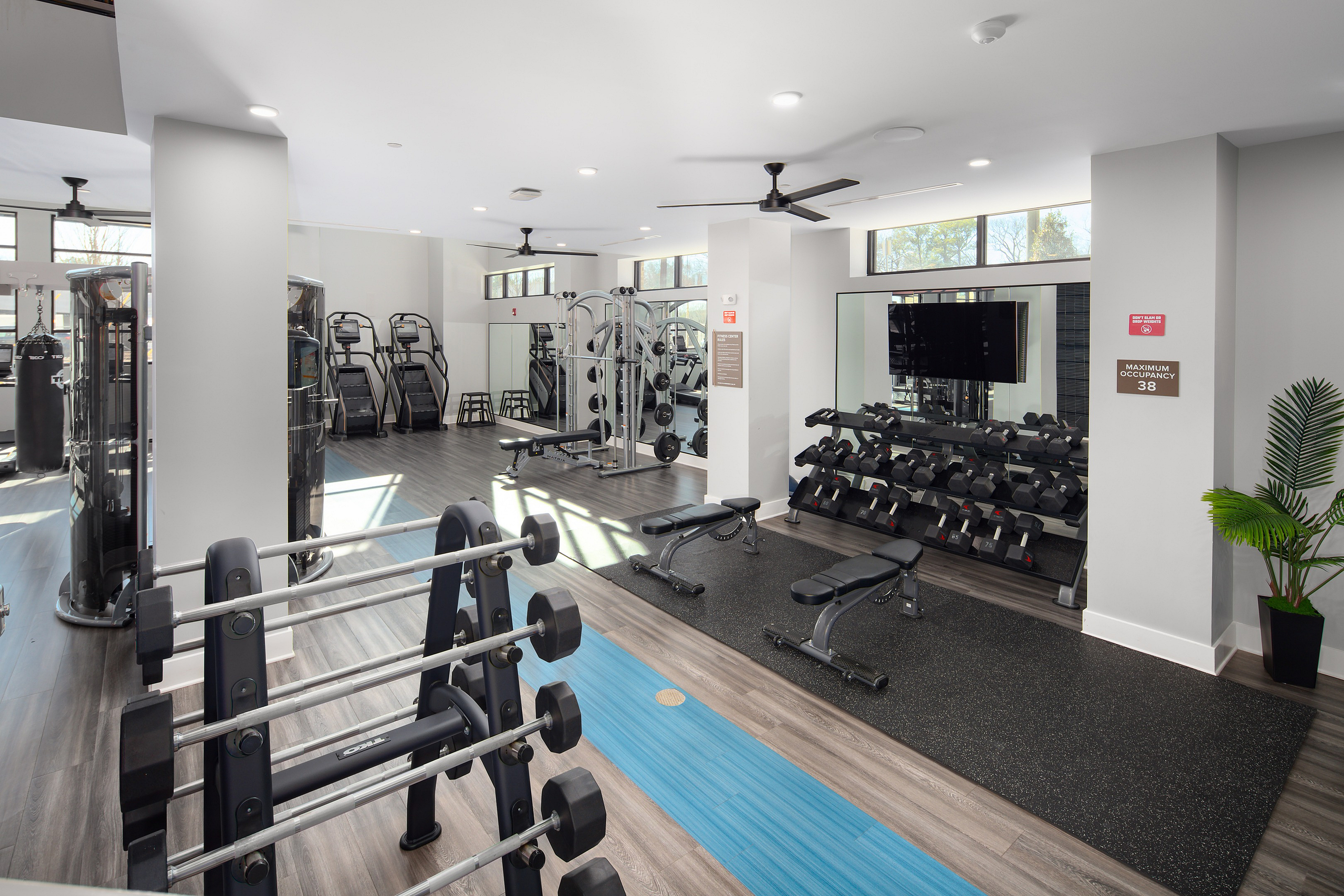Modern gym with state-of-the-art fitness equipment, bright airy space, featuring weights, benches, and treadmills.