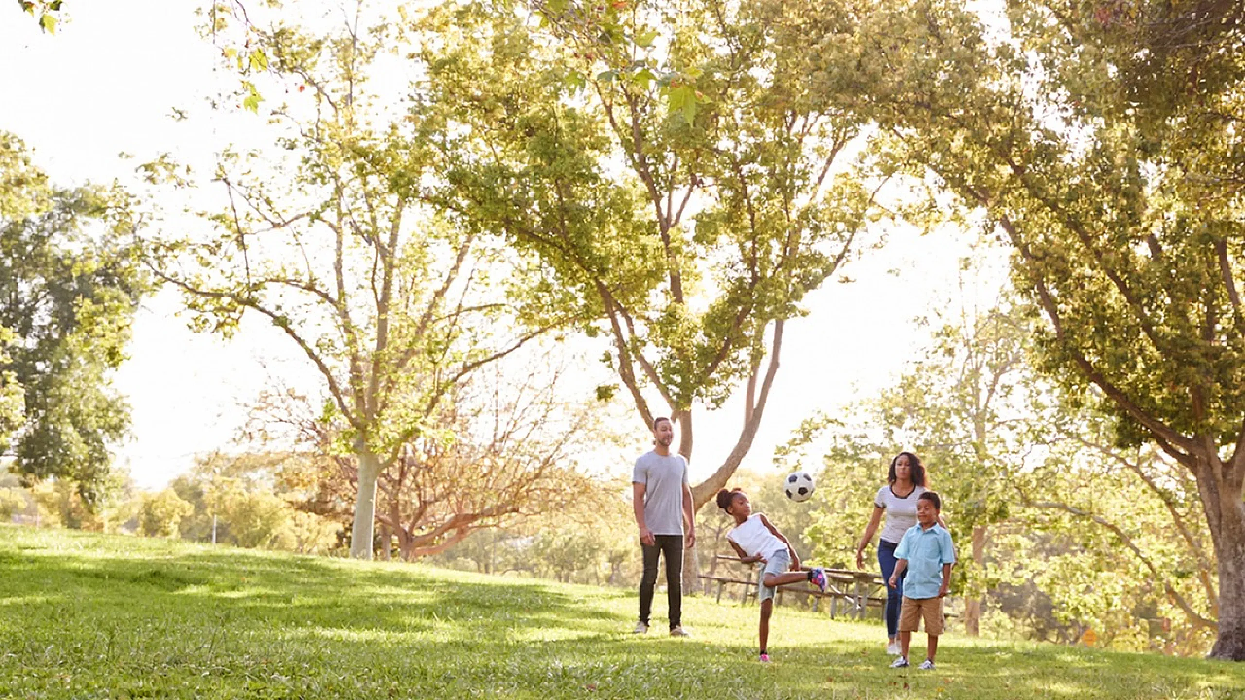 Family enjoying outdoor activities in a sunny park with lush greenery.
