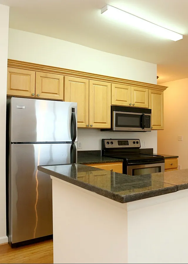 Bright modern kitchen with stainless steel appliances, wooden cabinets, and elegant lighting.