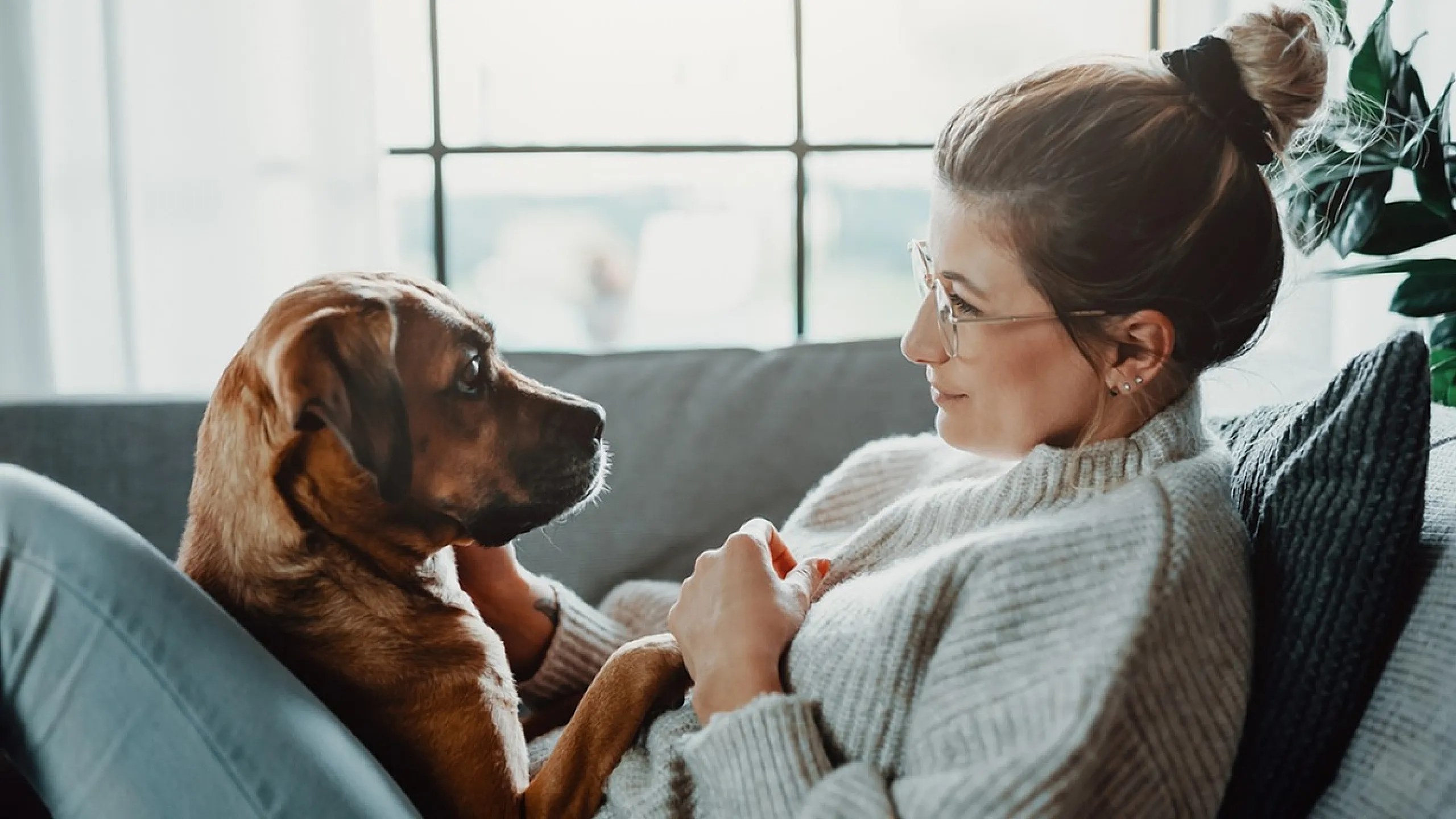 Serene moment of a woman relaxing on a sofa with a dog in a bright, modern apartment setting.