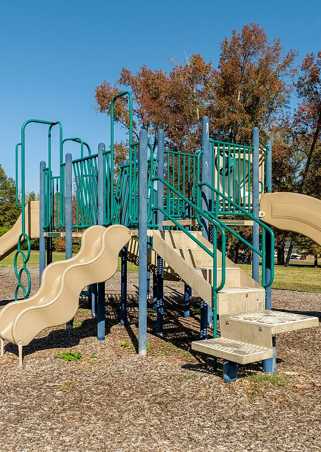 Inviting playground with slides and swings surrounded by autumn trees.