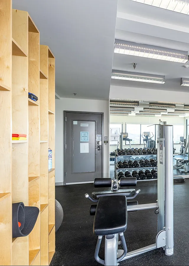 Bright and spacious fitness center with modern gym equipment and large windows offering ample natural light.