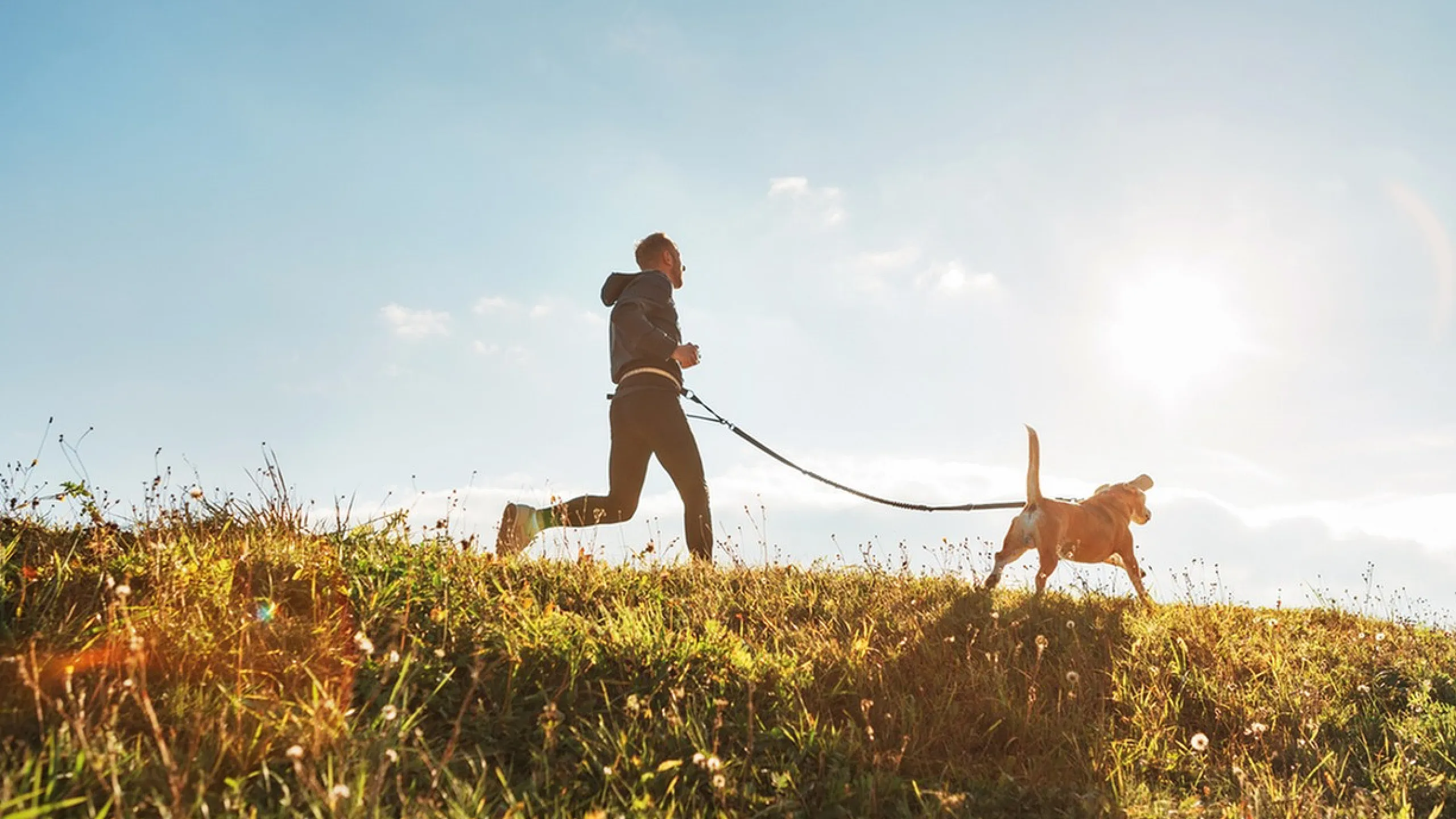 Man jogging with a dog on a sunny grassy hillside.