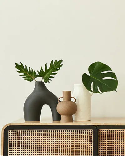 Stylish wooden sideboard with modern ceramic vases and lush green leaves.