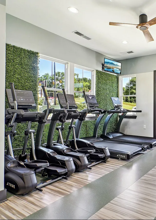 Modern gym featuring advanced treadmills, elliptical machines, dumbbells, and exercise balls in a sunlit space.