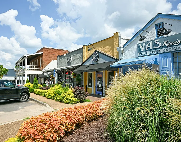 Charming street view with vibrant boutique shops and lush greenery under a bright blue sky.