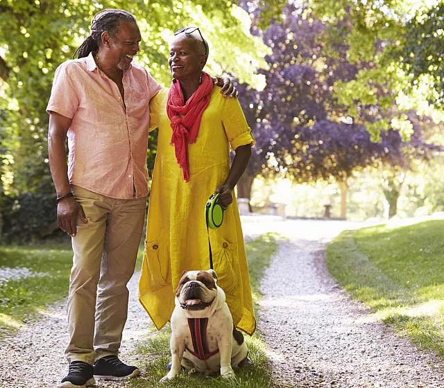 Joyful couple walking their bulldog along a picturesque, sun-dappled path surrounded by lush greenery.