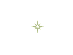 Elegant Star Land Village logo featuring a prominent star design on a sleek black background.